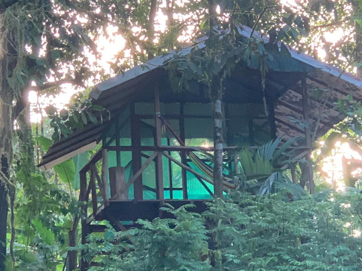 Rio Agujitas Eco Farm Hostel And Tours Drake Bay Zewnętrze zdjęcie
