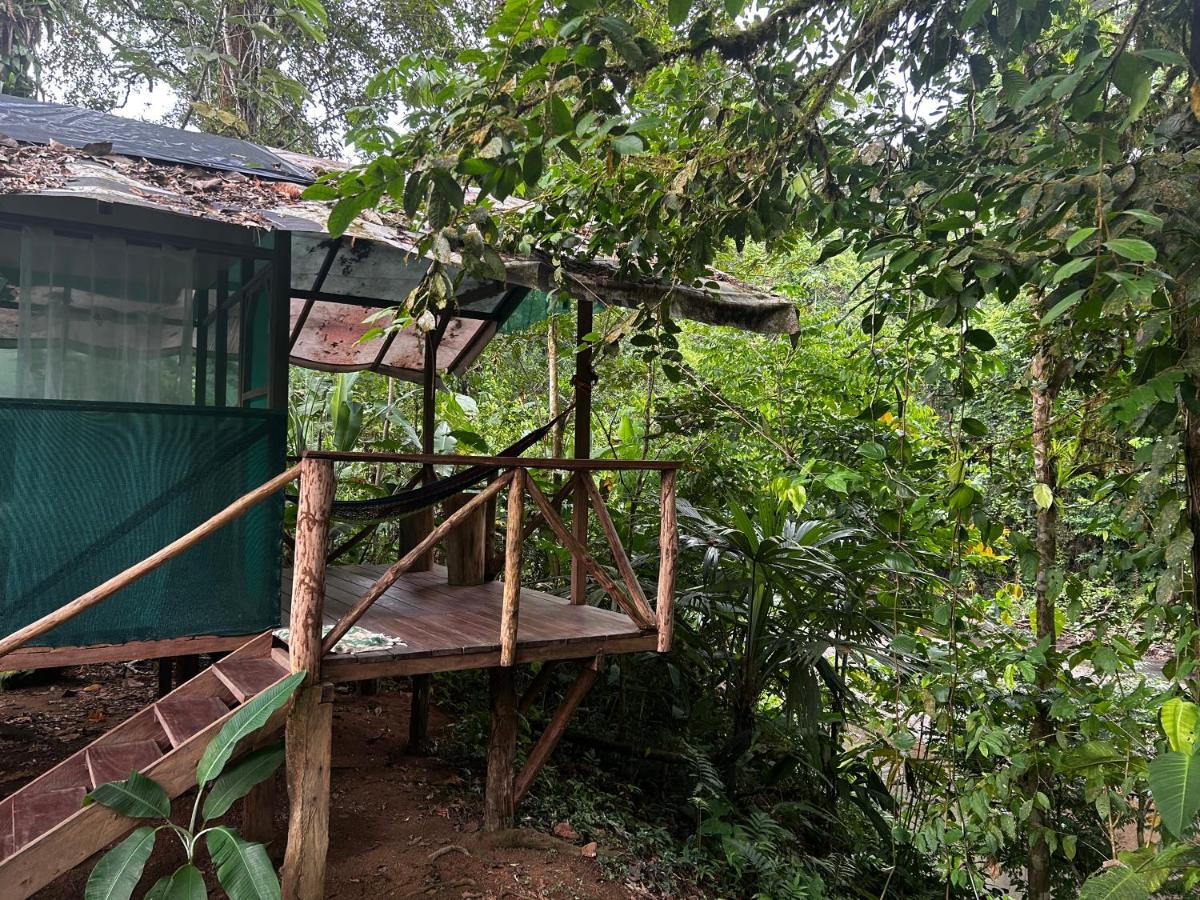 Rio Agujitas Eco Farm Hostel And Tours Drake Bay Zewnętrze zdjęcie