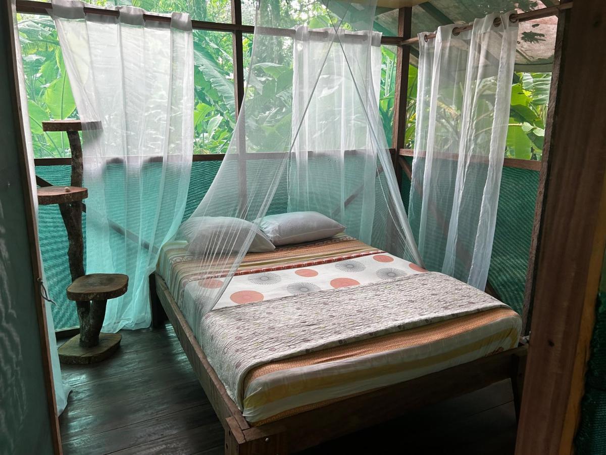 Rio Agujitas Eco Farm Hostel And Tours Drake Bay Zewnętrze zdjęcie
